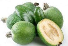 დილის საუზმესთან მირთმეული ეს “ცივი მურაბა” ენერგიით და ხალისით აგავსებთ.