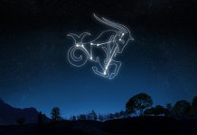 ამ 10 ფაქტს რომ გაიგებთ, ვერძის ნიშნით დაბადებულ ადამიანებს მეტად დააფასებთ!