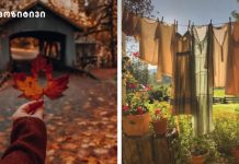 შემოდგომით როგორ გავთავისუფლდეთ მელანქოლიური განწყობისგან