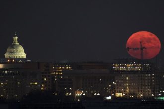 17 ოქტომბრის ჰოროსკოპი: მოთმინება და განზრახვა