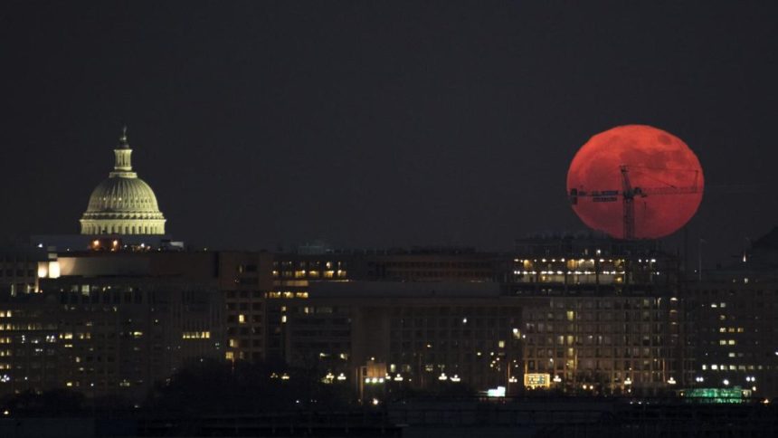17 ოქტომბრის ჰოროსკოპი: მოთმინება და განზრახვა