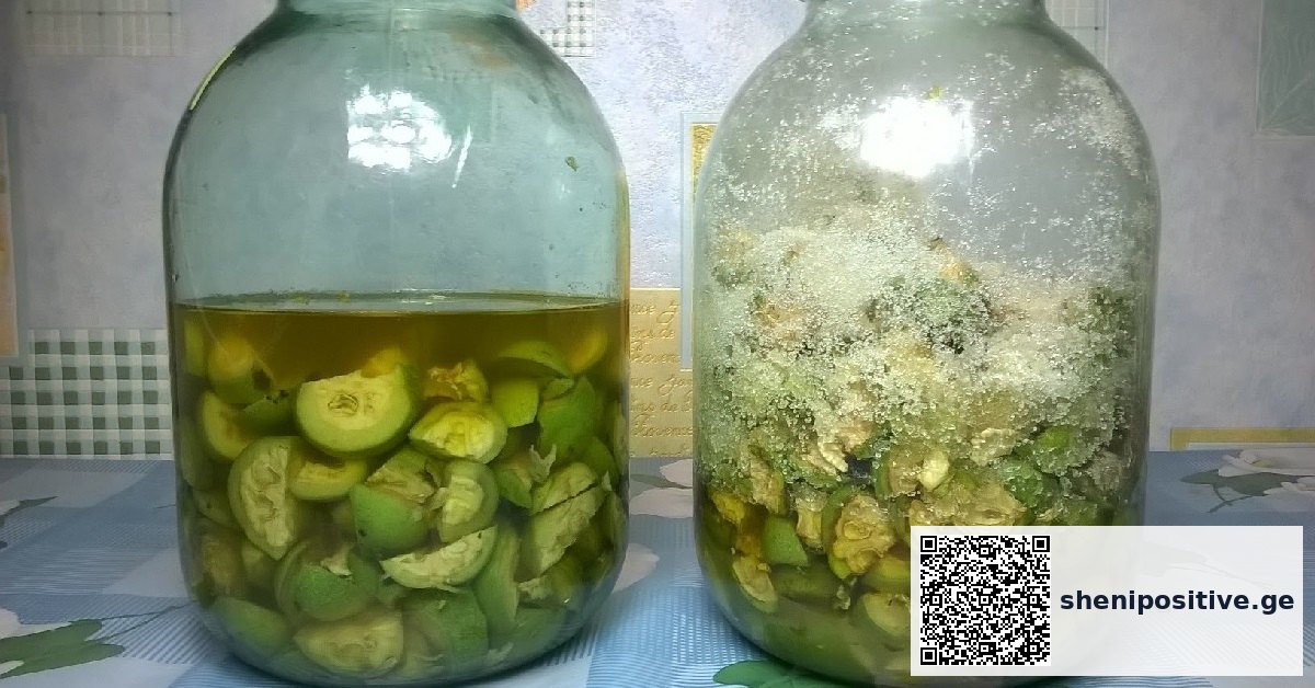 მწვანე კაკალი ხეზე ბუნებრივ გარემოში